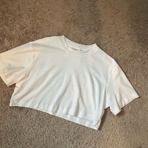 Aritzia Pegasus Cropped Tee
